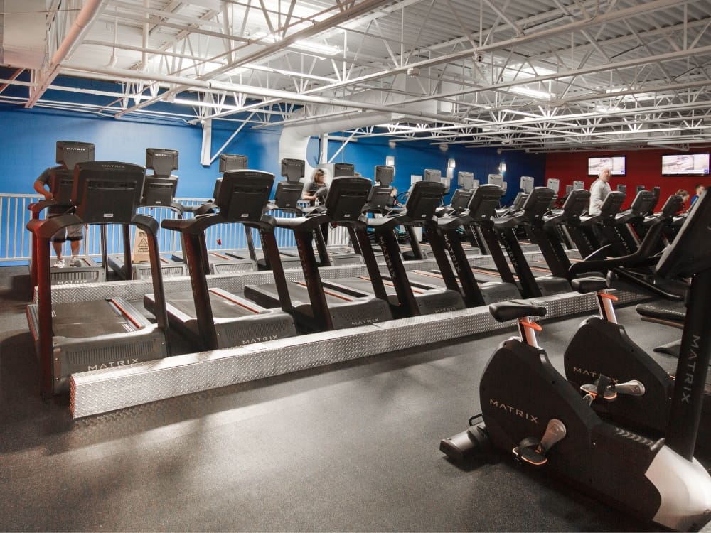 a row of treadmills and cardio equipment at a gym near me in saratoga